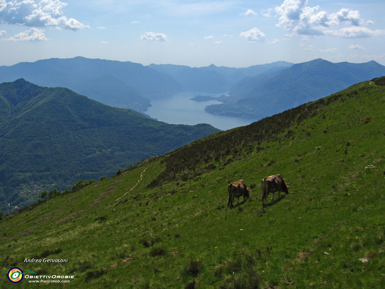 16 pascoli all'Alpe Giumello.jpg